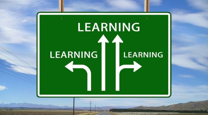 Learning on the fly with zero overhead